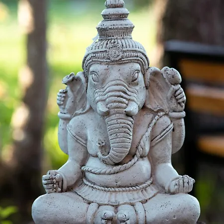 Shanti Forest House With Mirror Sauna Nyaraló Laokuela