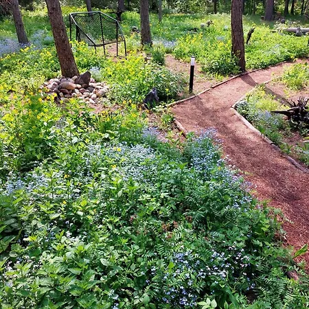 בית נופש Shanti Forest House With Mirror Sauna